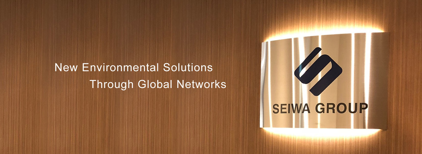 New Environmental Solutions Through Global Networks